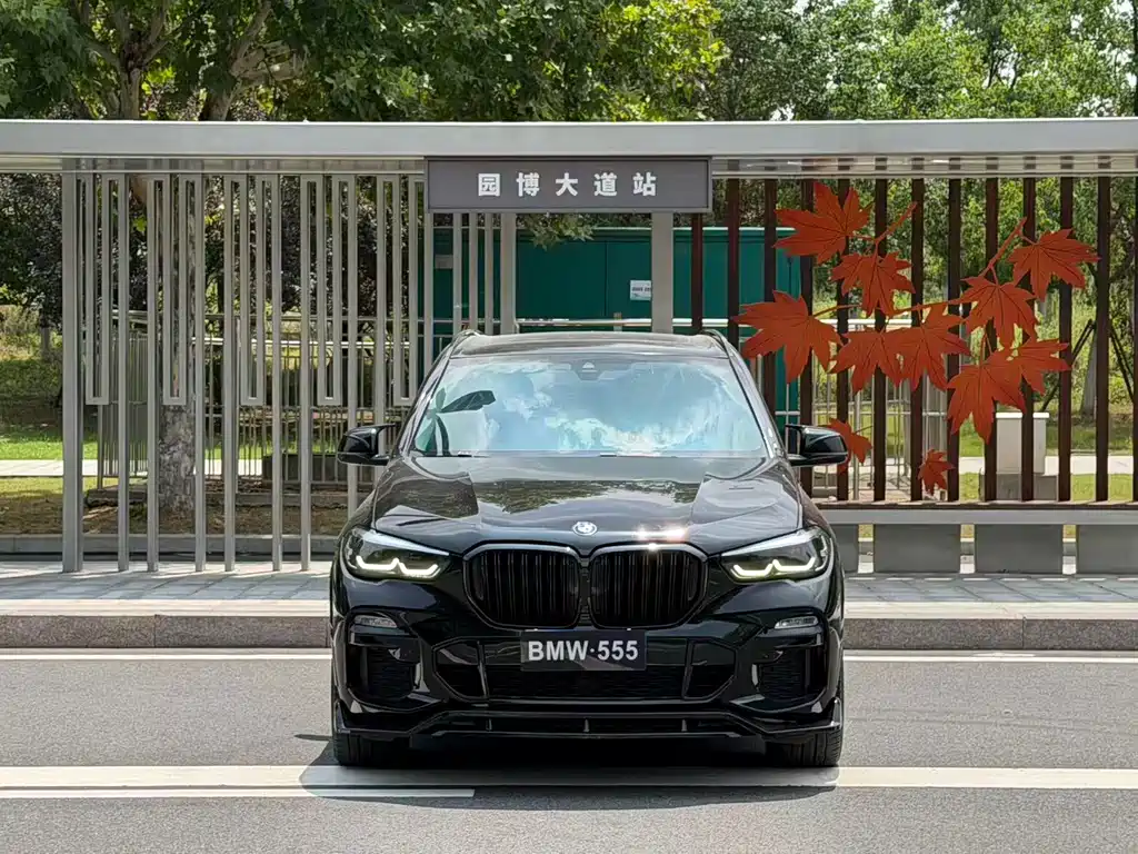 BMW X5 (Import) — миниатюра 2