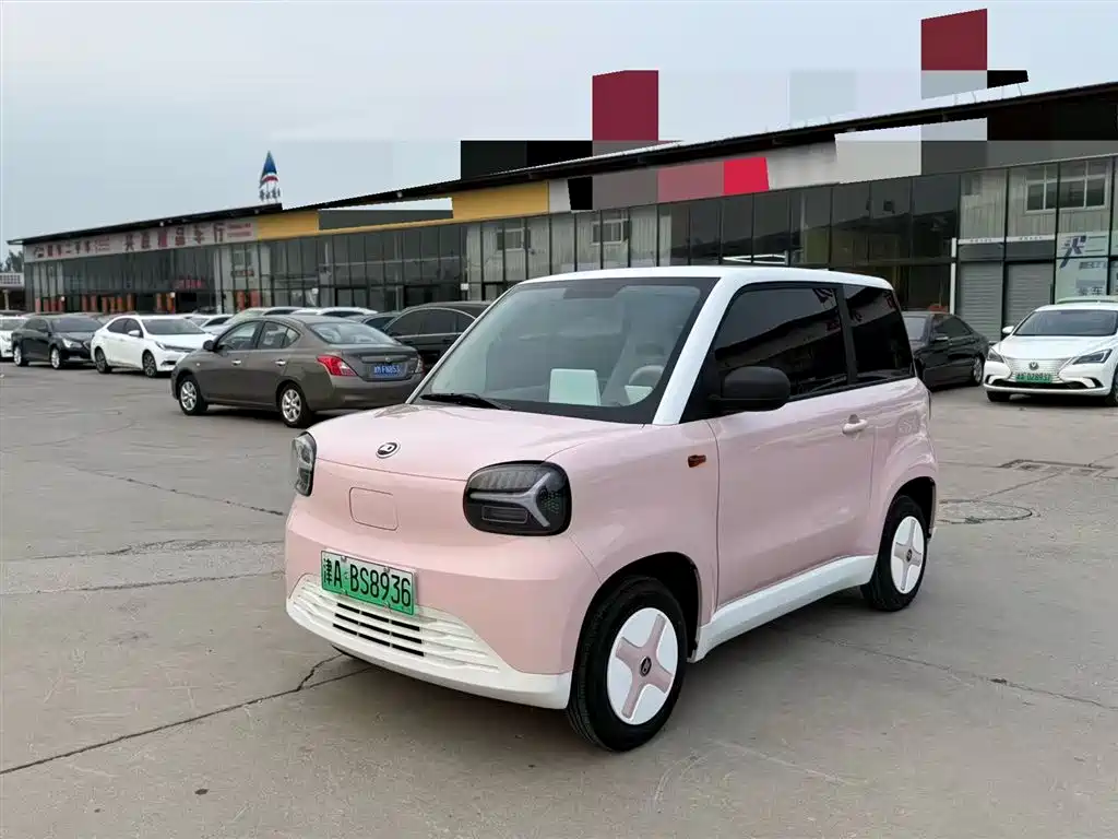 Zhidou Zhido Rainbow 2024