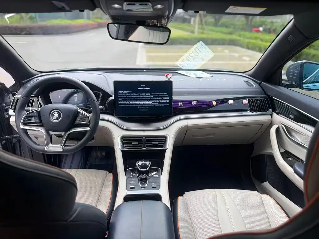 BYD PLUS New Energy — миниатюра 9