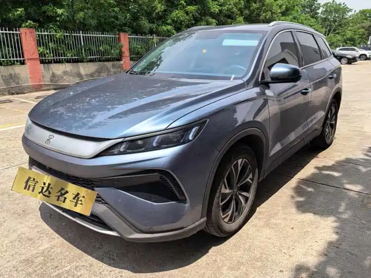 Byd Pro New Energy 2025