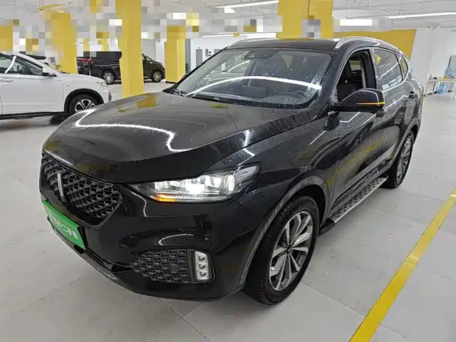 2020 Wey VV6