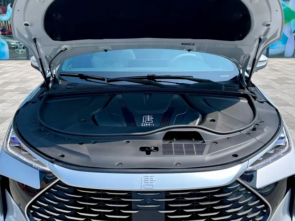 BYD Tang New Energy — миниатюра 8