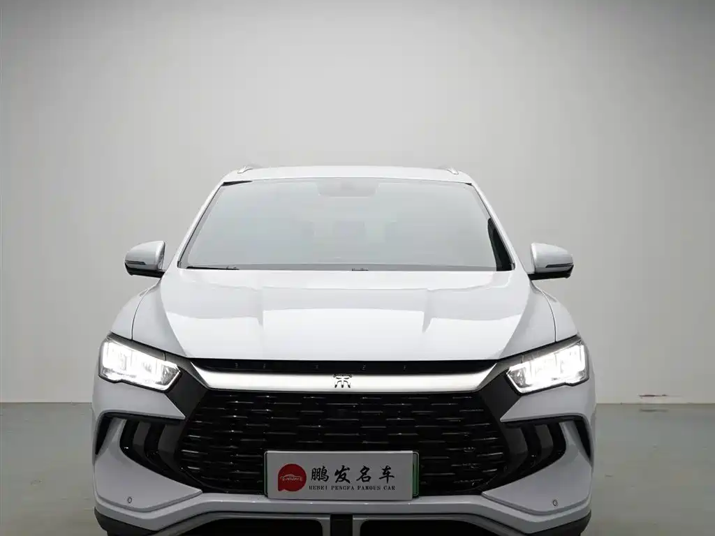 BYD Pro New Energy - фото 2