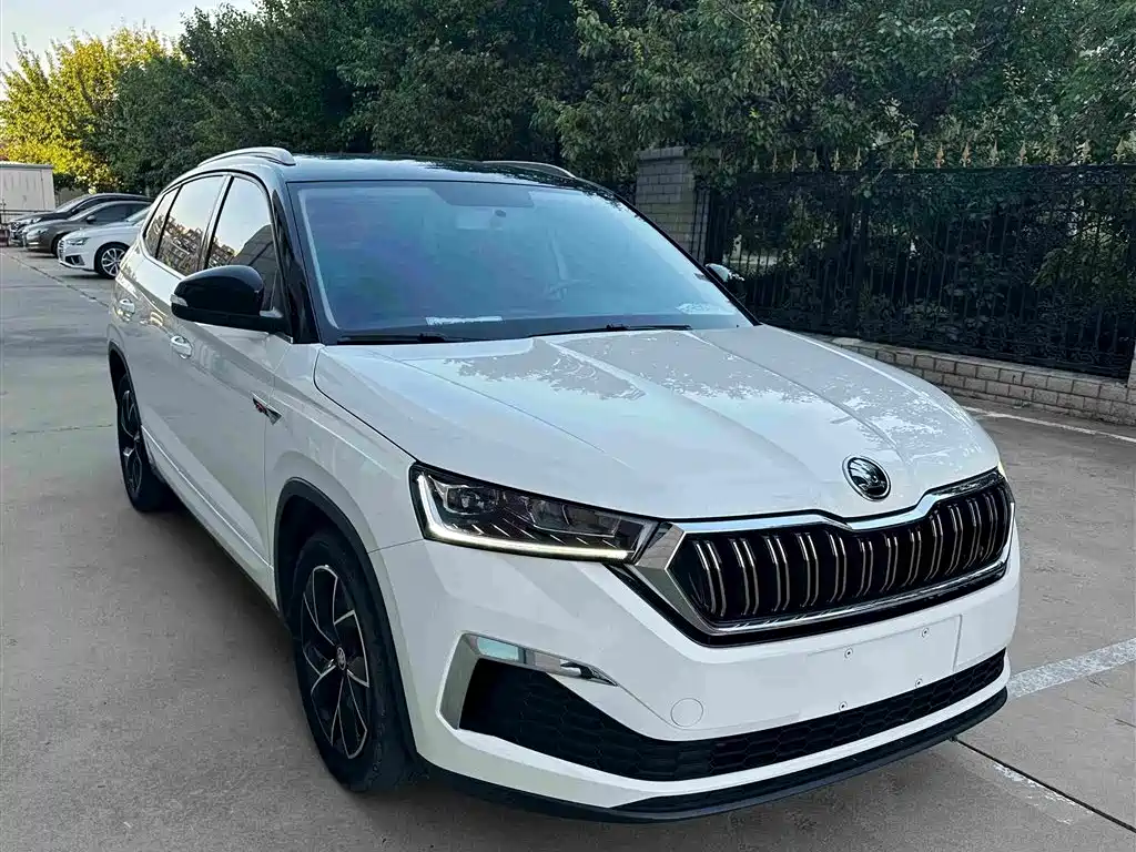 Skoda Kamiq — миниатюра 3