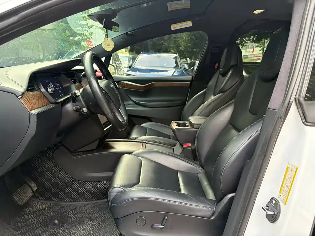 Tesla Model X 2017 Model X 100D