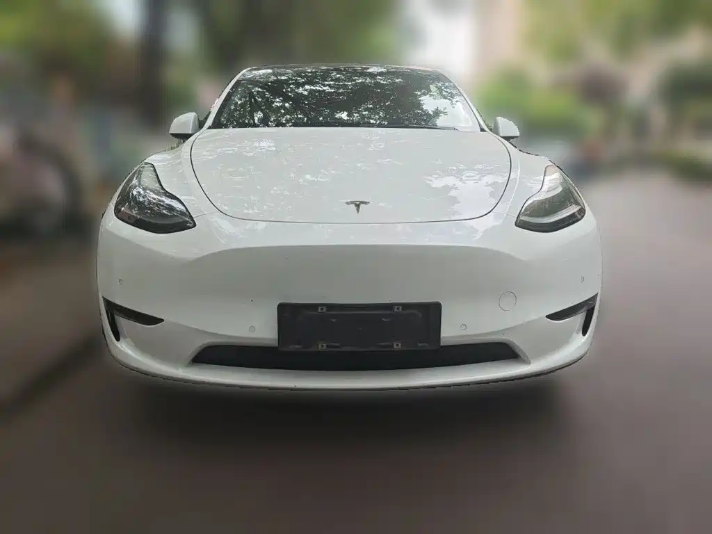 Tesla Model Y — миниатюра 2