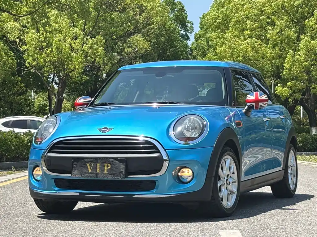 Mini Mini 2018