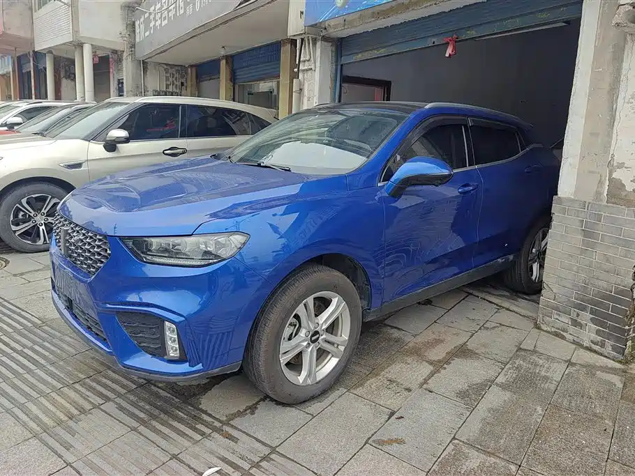 Wey Wey VV5 2020