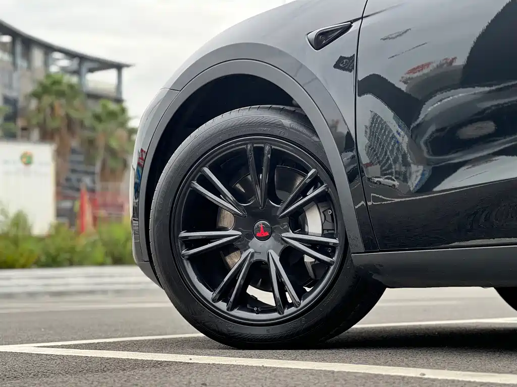Tesla Model Y — миниатюра 6