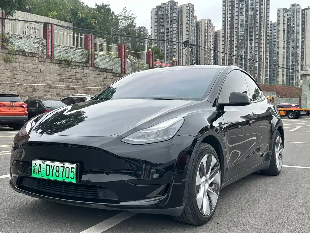 Tesla Model Y — миниатюра 4