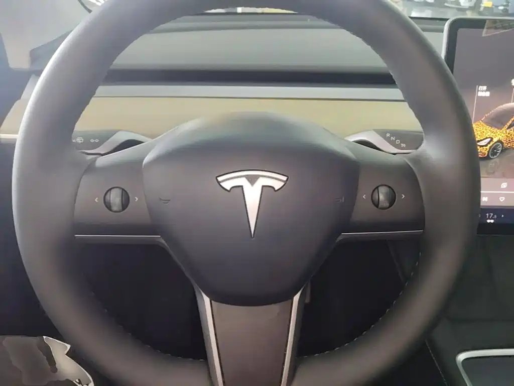 Tesla Model Y — миниатюра 11