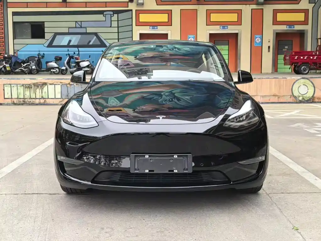 Tesla Model Y — миниатюра 2