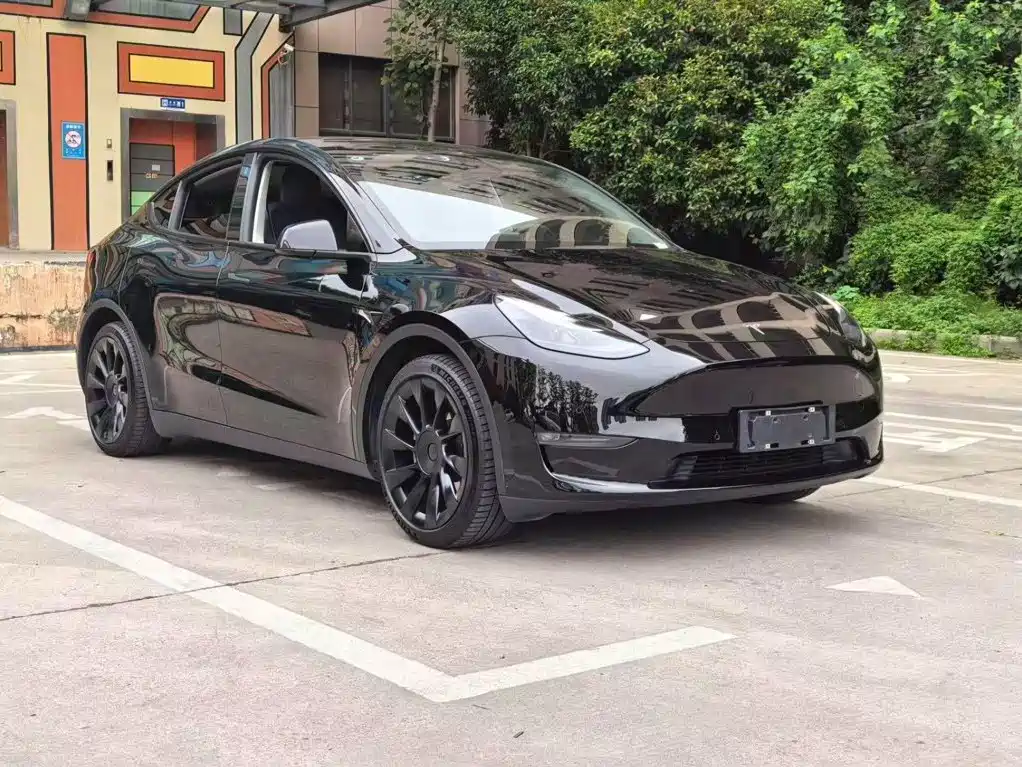 Tesla Model Y — миниатюра 3