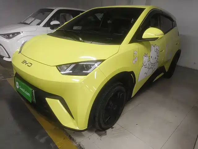 2024 BYD Seagull