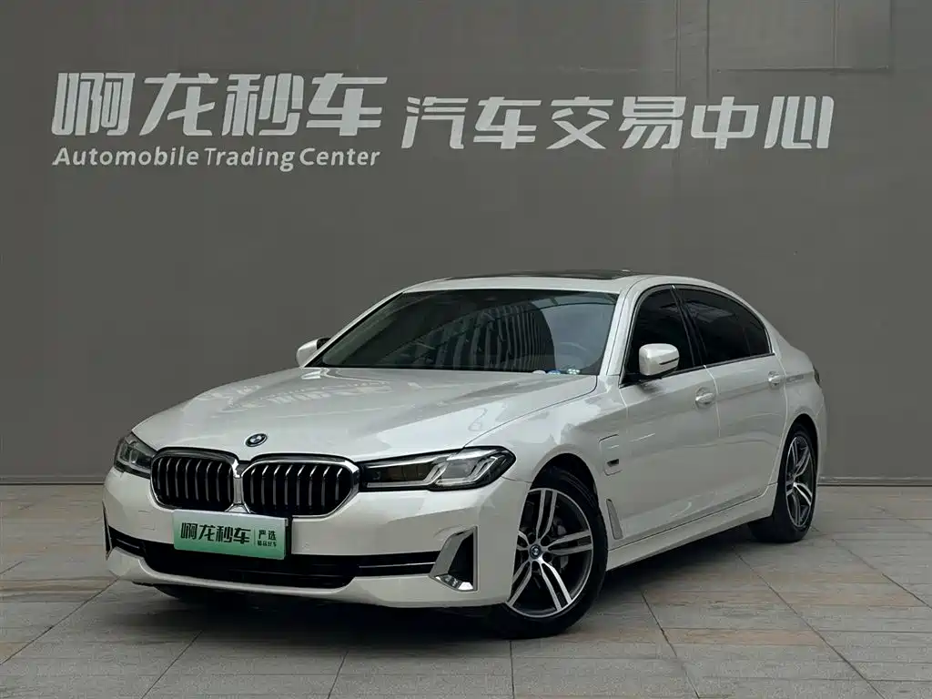 BMW 5 Series New Energy 2022