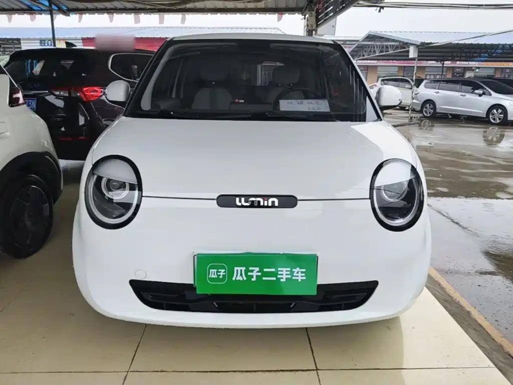 Qiyuan Lumin — миниатюра 3