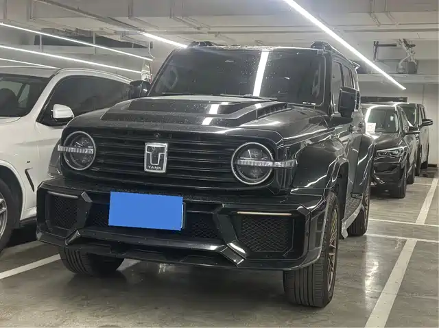 Tank 300