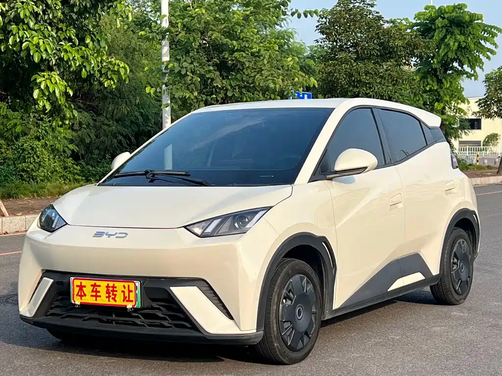 BYD Seagull