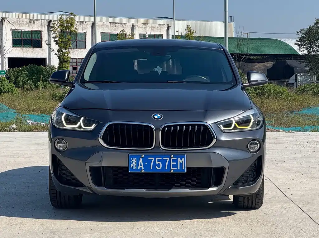 BMW X2 (Import) — миниатюра 2
