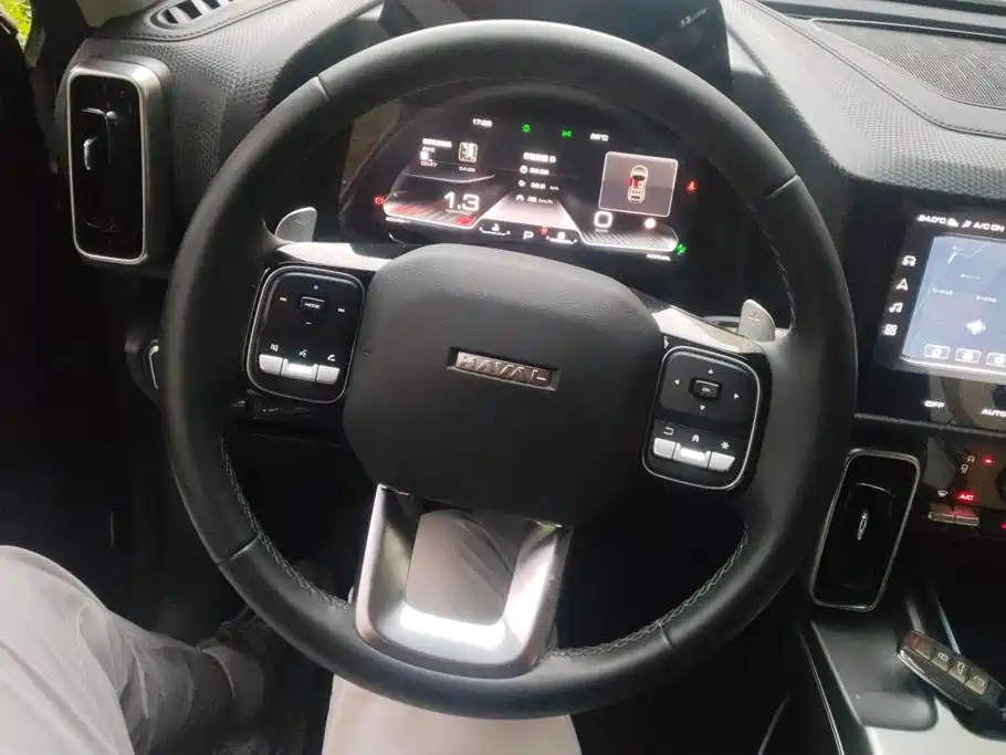 Haval Big Dog — миниатюра 15