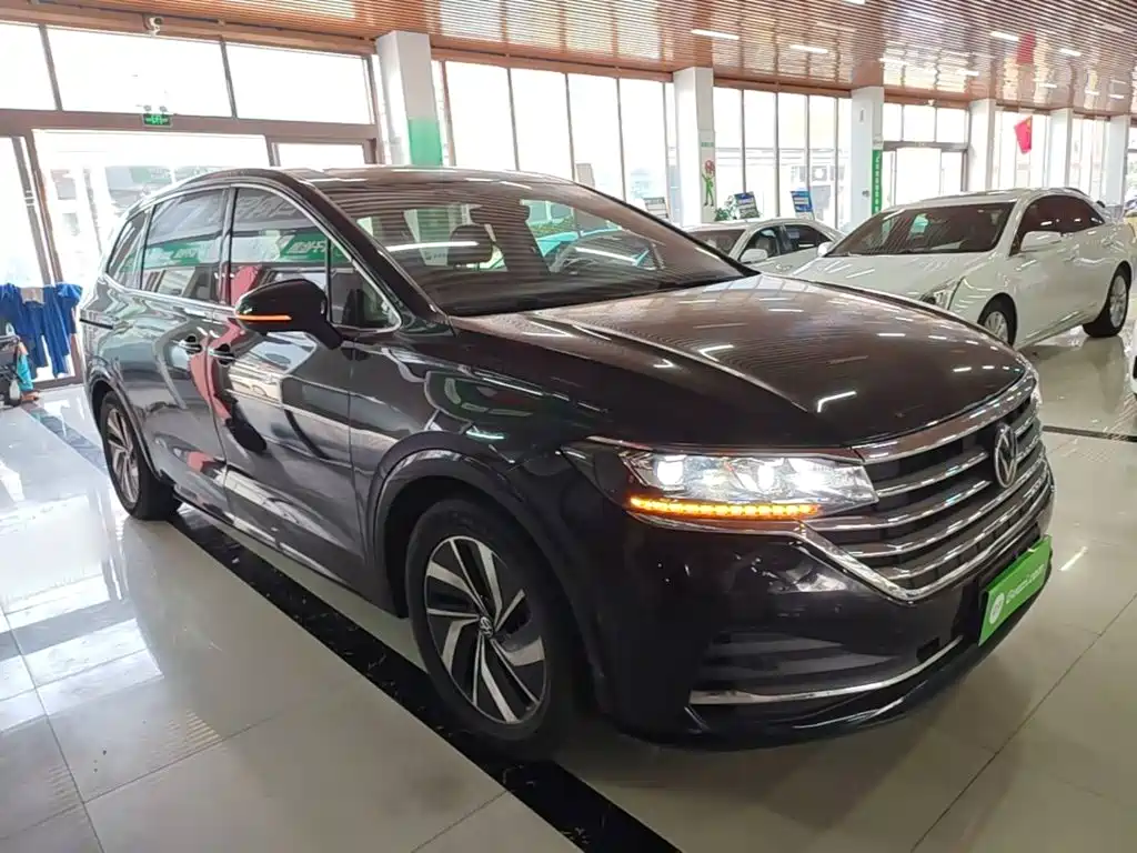 Volkswagen Viloran — миниатюра 4