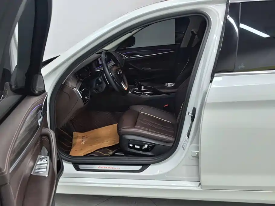 BMW 5 Series 5 2020 530Li Premium Luxury