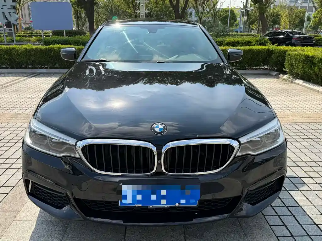BMW 5 Series — миниатюра 2