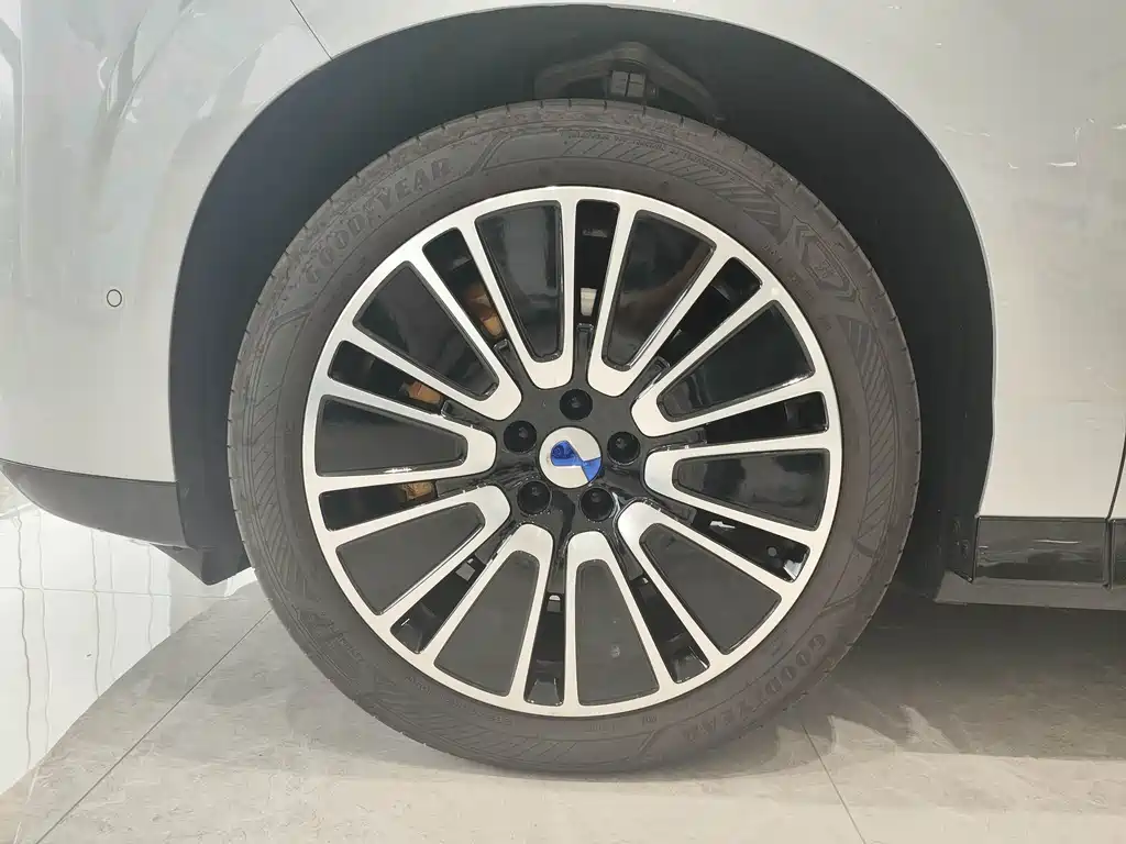 Denza Denza N8L — миниатюра 18