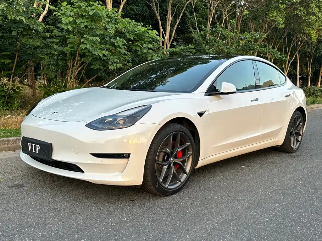 Tesla Model 3 2022
