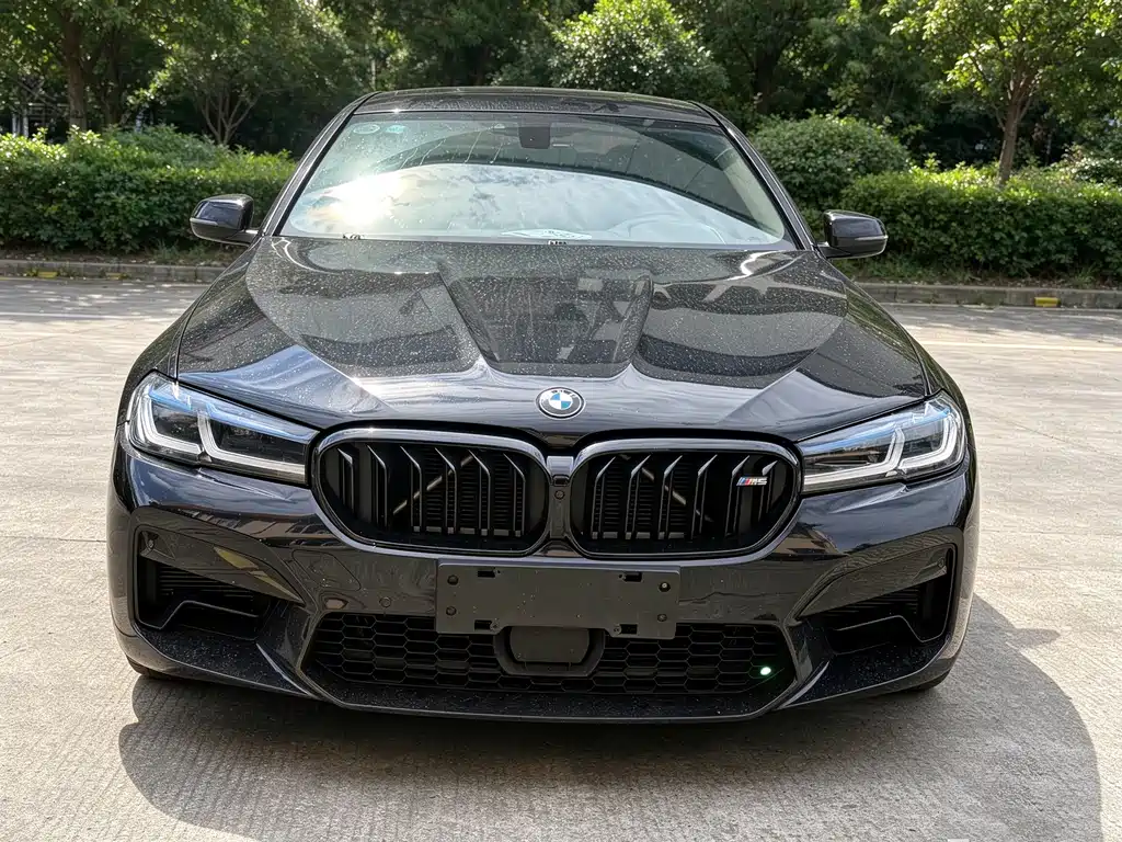 BMW 5 Series — миниатюра 2