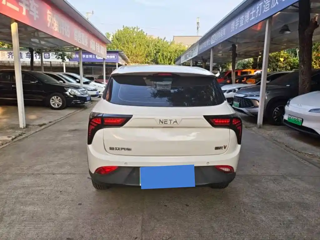 Neta Neta V — миниатюра 8