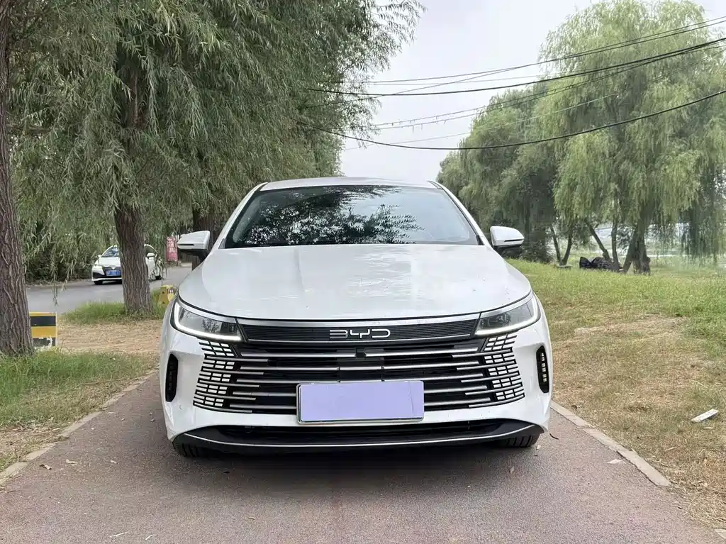 BYD Destroyer 05 — миниатюра 2