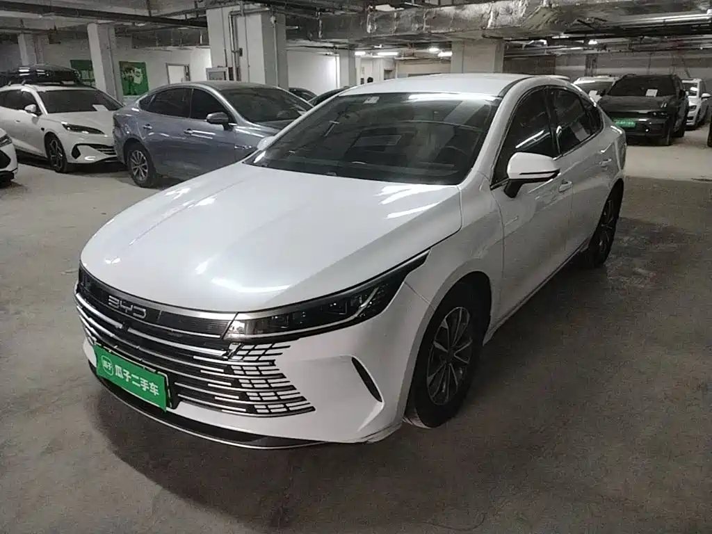 BYD Destroyer 05