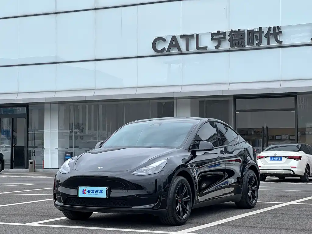 Tesla Model Y — миниатюра 2