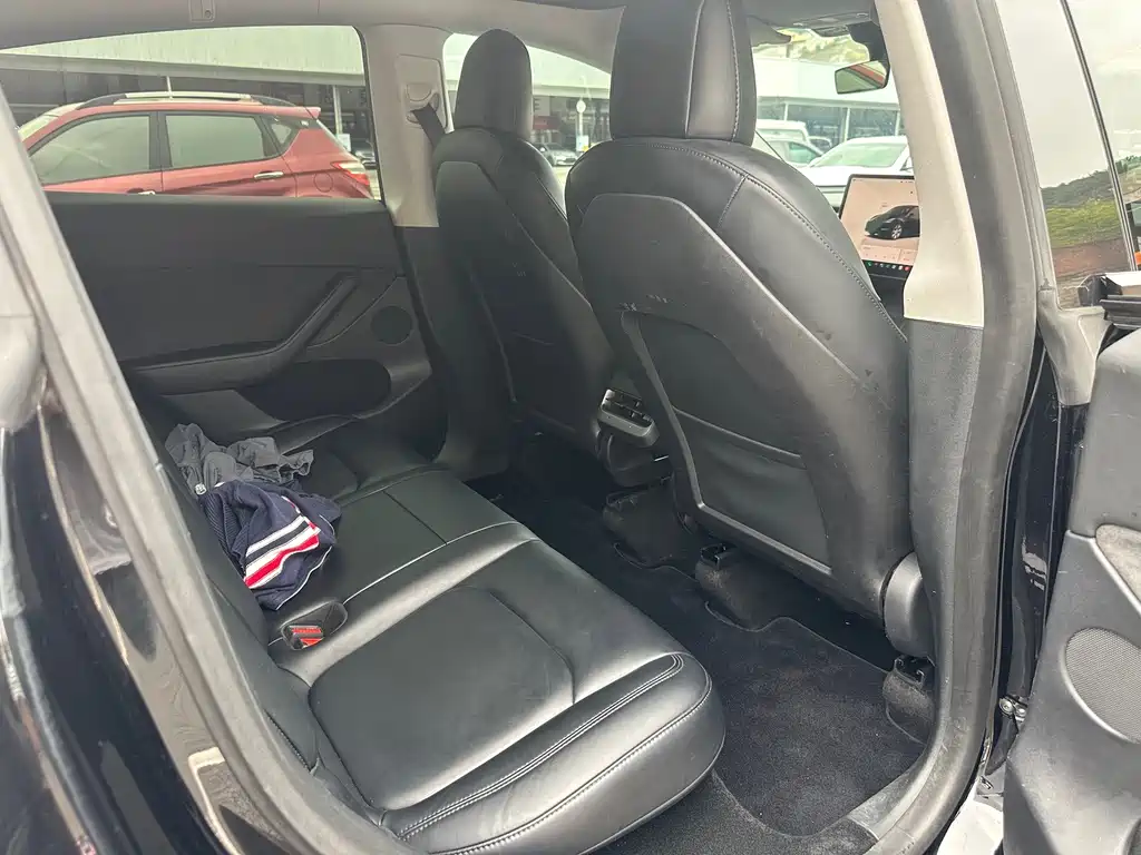 Tesla Model Y — миниатюра 6