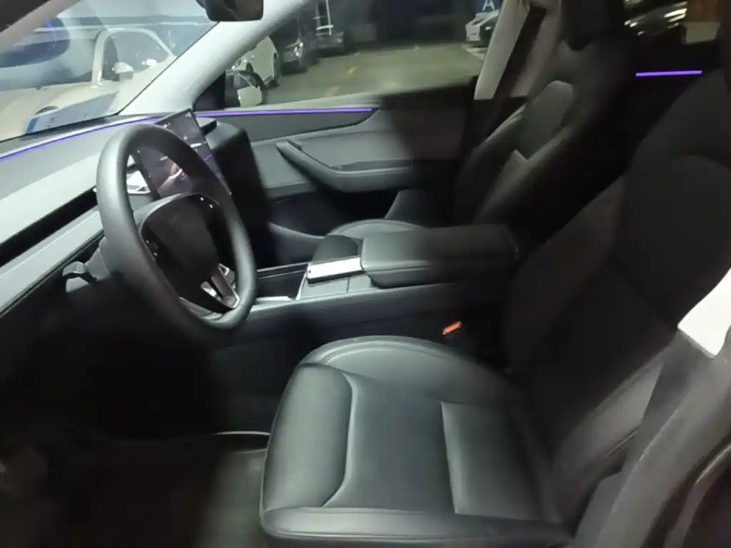 Tesla Model Y — миниатюра 15