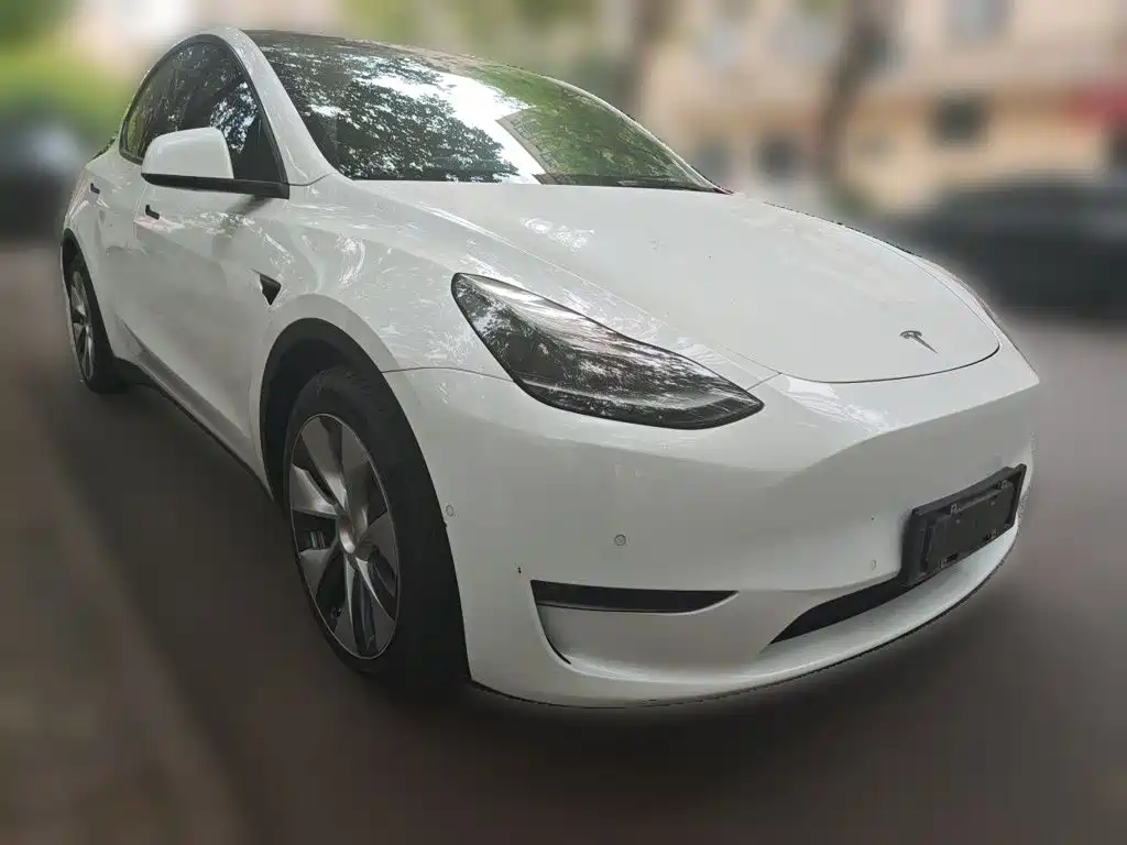Tesla Model Y — миниатюра 3