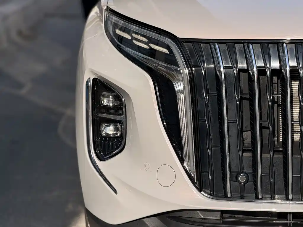 Hongqi Hongqi HS7 PHEV — миниатюра 8