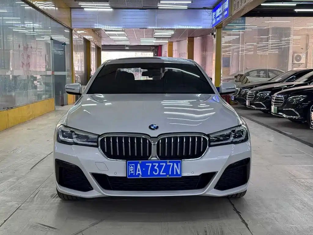 BMW 5 SERIES
