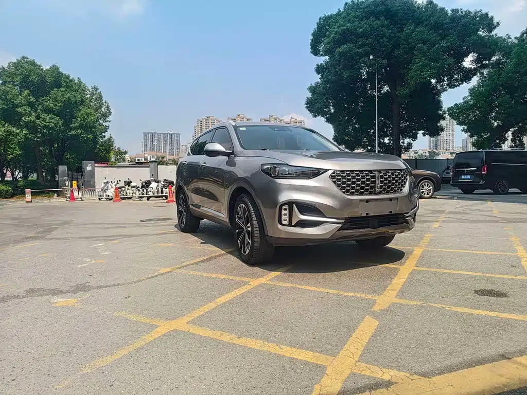Wey Wey VV6