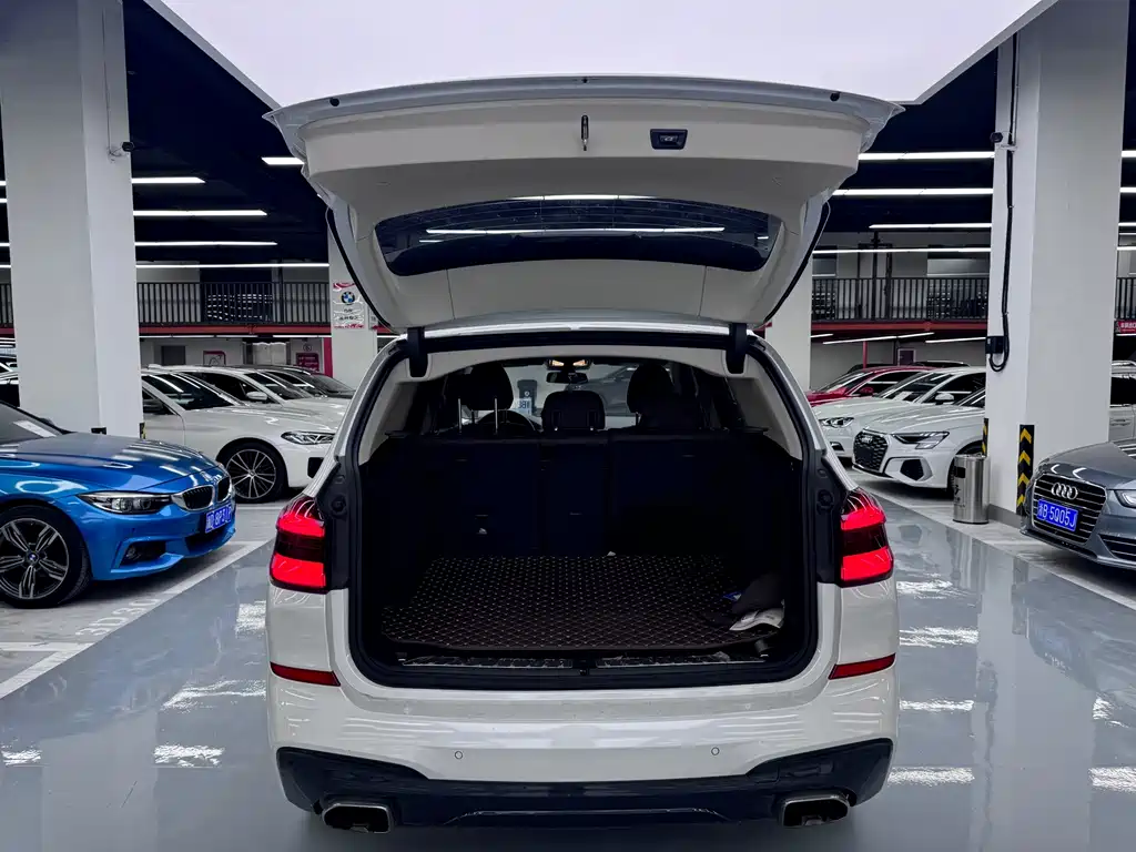 BMW X3 — миниатюра 18