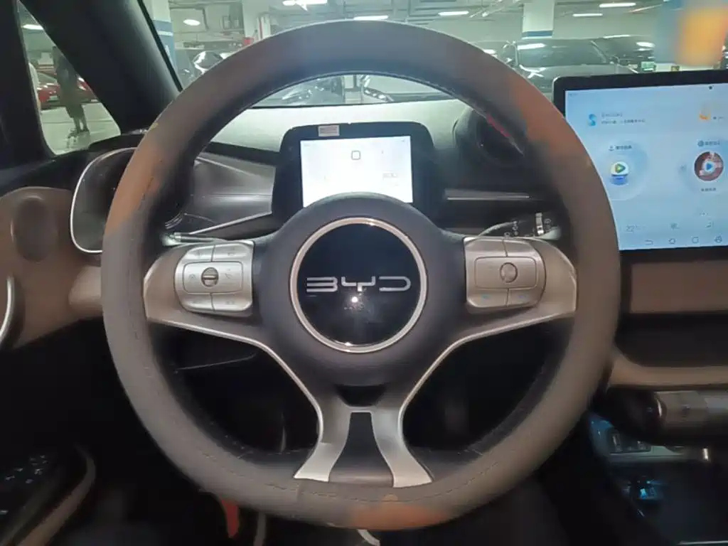 BYD Dolphin — миниатюра 11