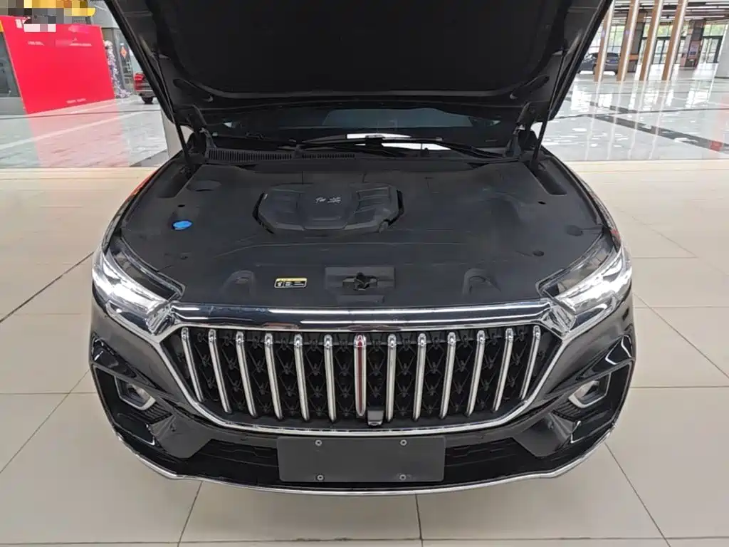 Hongqi Hongqi HS5 — миниатюра 20