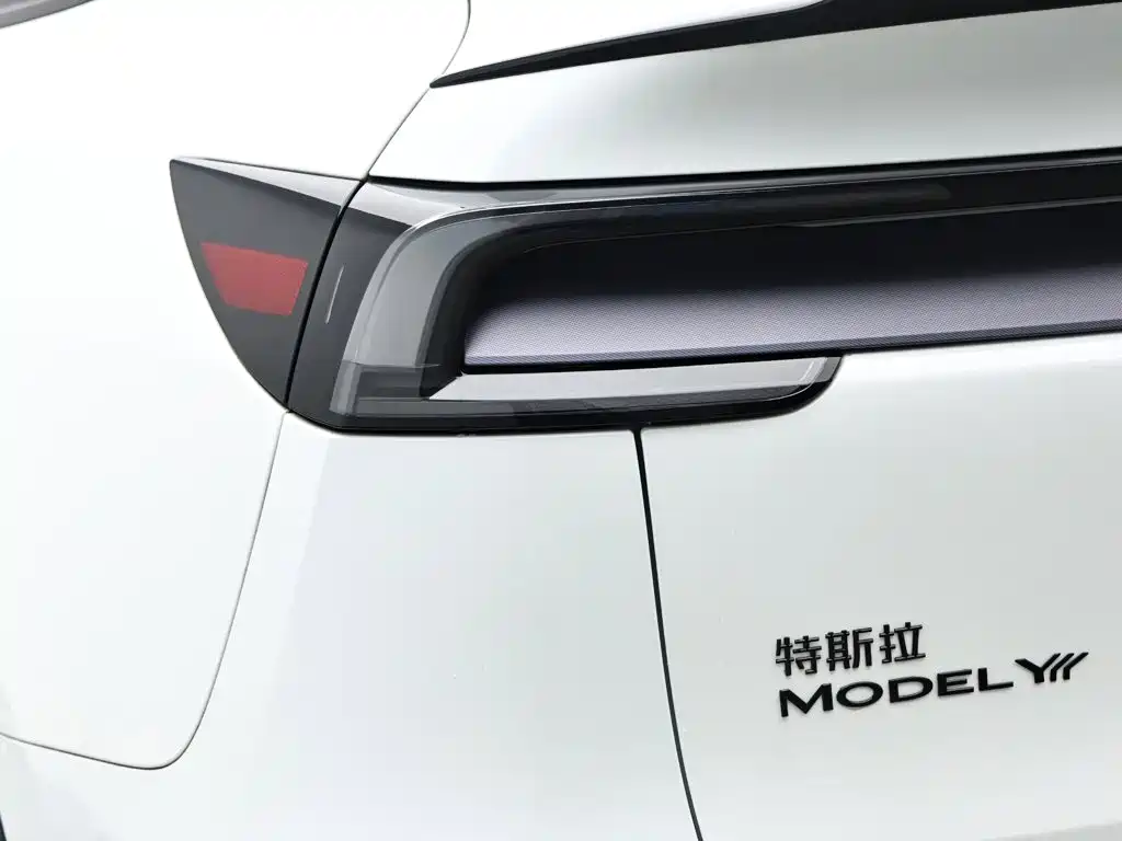Tesla Model Y L — миниатюра 8