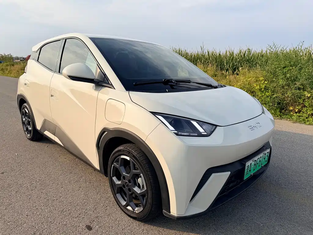 BYD Seagull — миниатюра 4