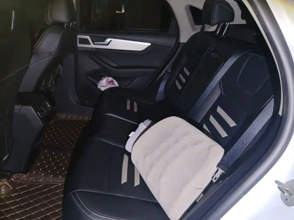 BYD Qin Pro — миниатюра 13