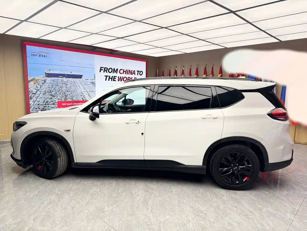 Chevrolet Volando — миниатюра 8