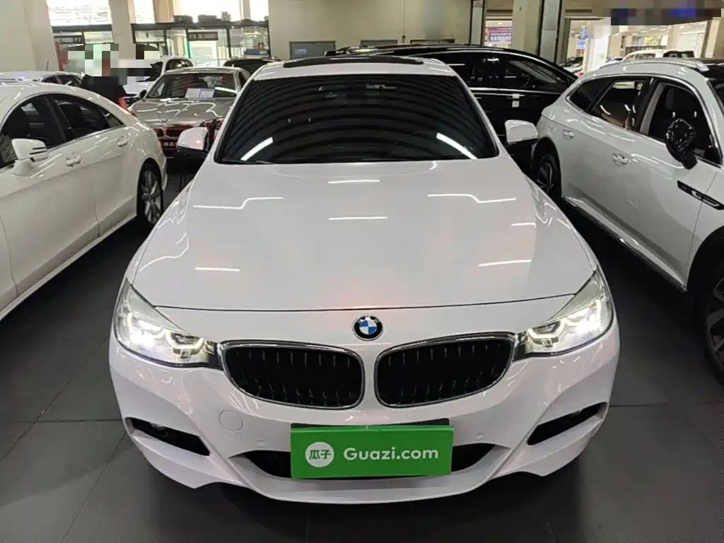 BMW 3 Series GT — миниатюра 3