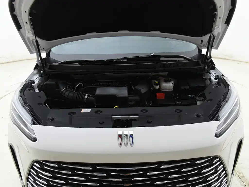 Buick GL8 — миниатюра 4