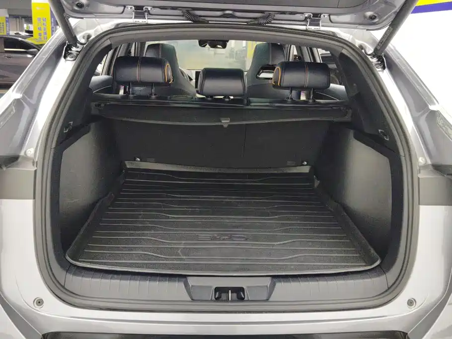 BYD PLUS New Energy — миниатюра 4